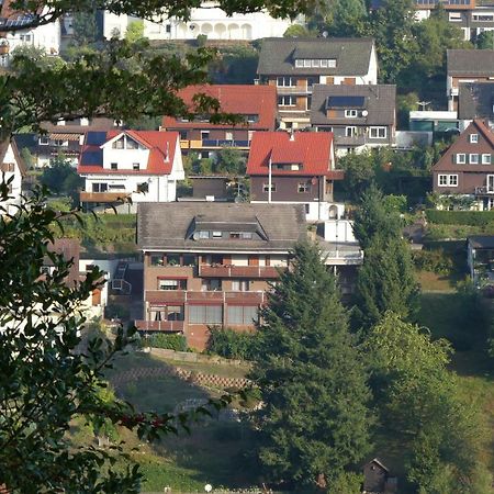 Haus Krick Διαμέρισμα Alpirsbach Εξωτερικό φωτογραφία