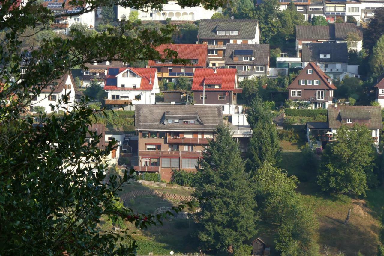Haus Krick Διαμέρισμα Alpirsbach Εξωτερικό φωτογραφία