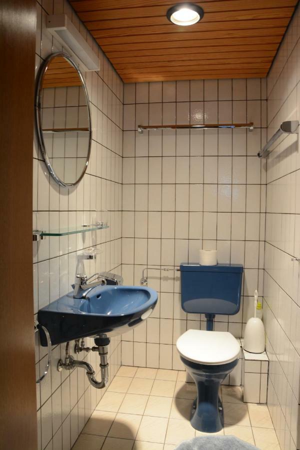 Haus Krick Διαμέρισμα Alpirsbach Εξωτερικό φωτογραφία